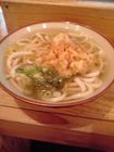 かけうどん サービスエノキ天付　ゆず屋製麺所＠神田