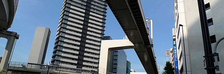 P1020706.jpg