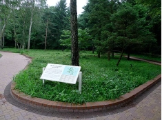 kinenen.jpg