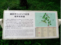 P1030125.jpg