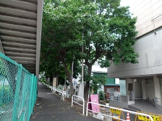 P1020933.jpg